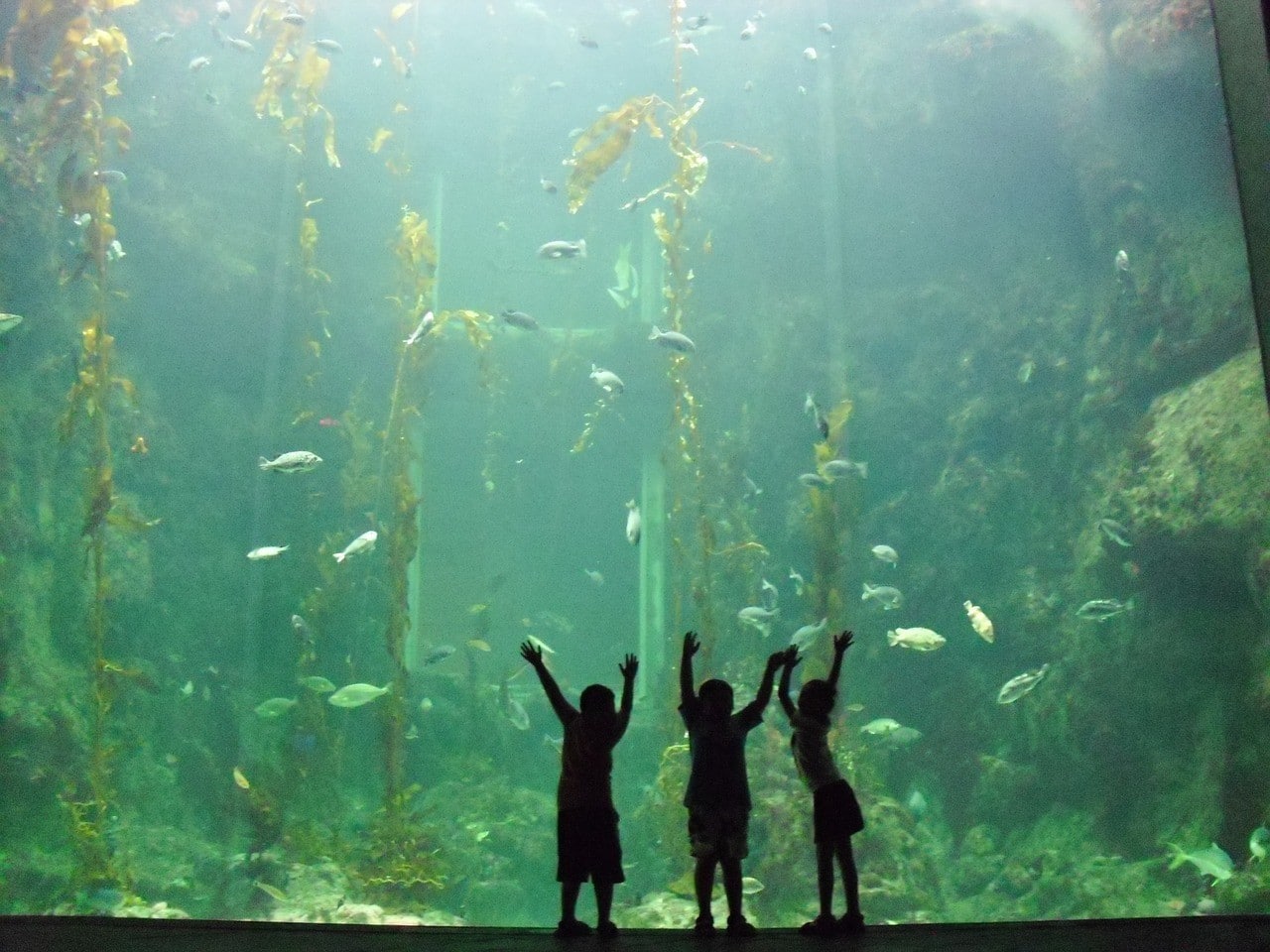 Featured Image for The Best of The Scope News: Summer 2015 courtesy of   | CJRU