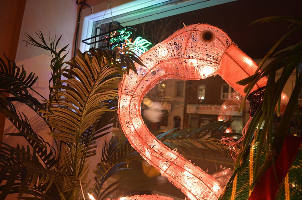 Featured Image for PIVOTcast hosted by  at CJRU