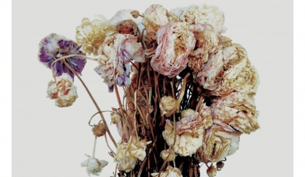 Album Image for Sleater-Kinney - No Cities To Love (Released 2015-01-20  by Sub Pop)