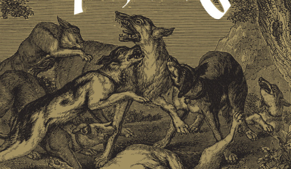 Album Image for Teethmarks - Survival (Released 2014-11-25  by Self-released)