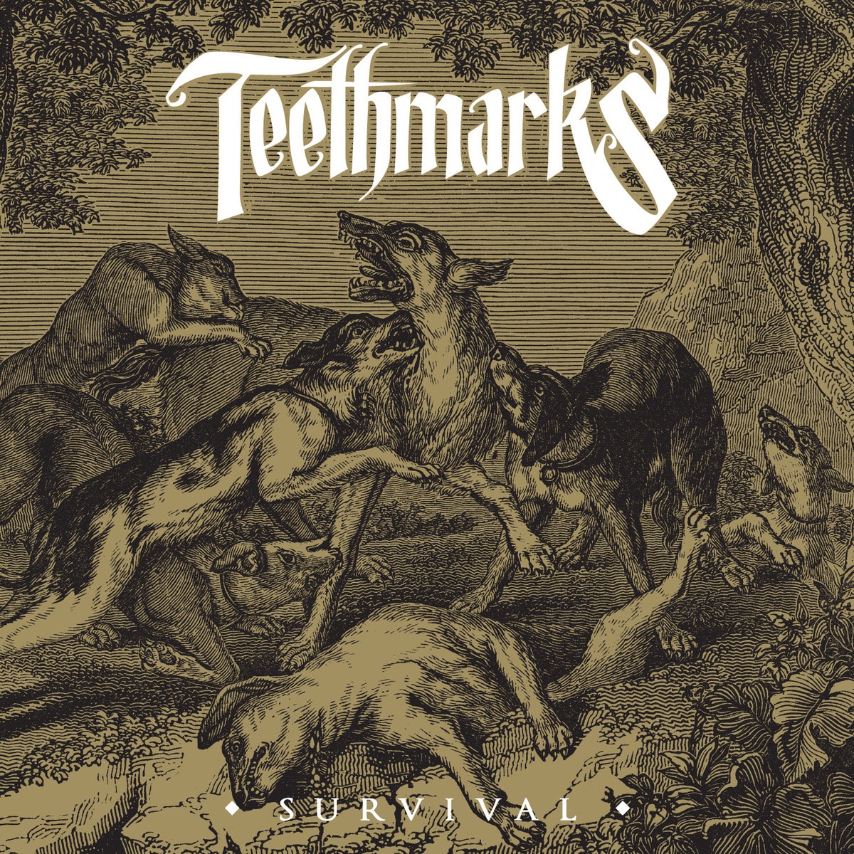 Album Image for Teethmarks - Survival (Released 2014-11-25  by Self-released)