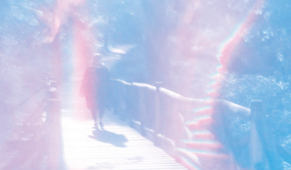 Album Image for White Poppy - Paradise Gardens (Released 2020-04-24  by Not Not Fun Records)