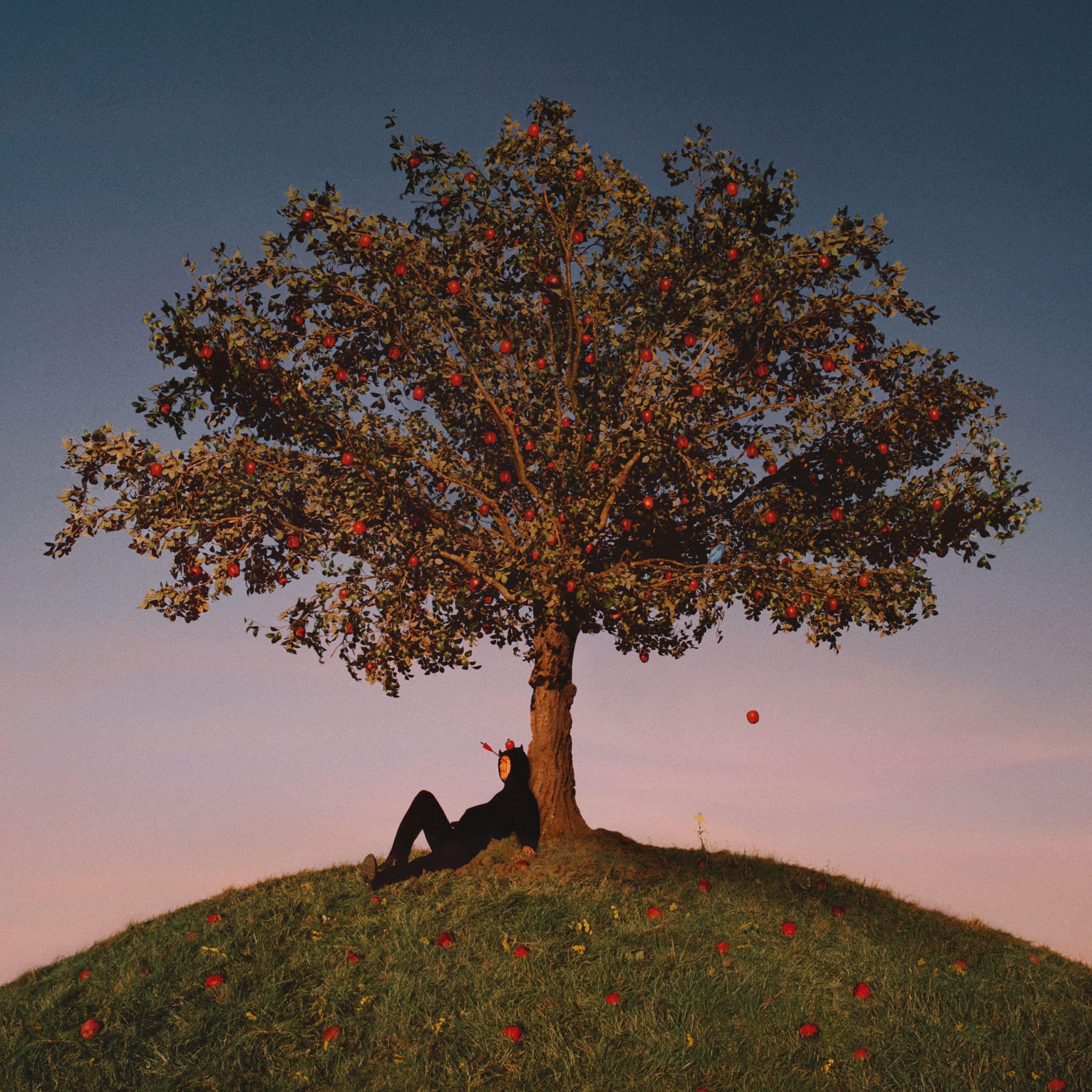 The album cover for slowthai's album TYRON. slowthai sits under a massive tree on the peak of a hill.