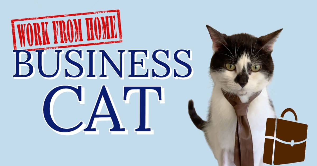 Janelle McGuinness' Business Cat YouTube title card