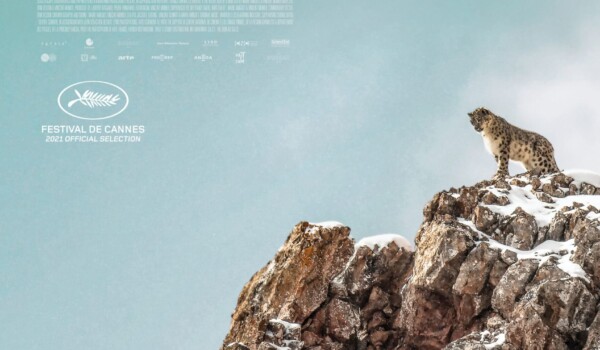 The Velvet Queen with a leopard at the top